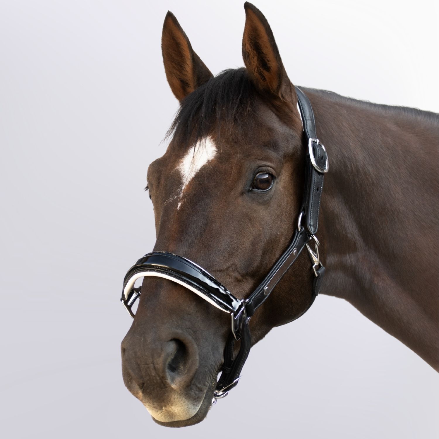 Soft-Lederhalfter Aurora