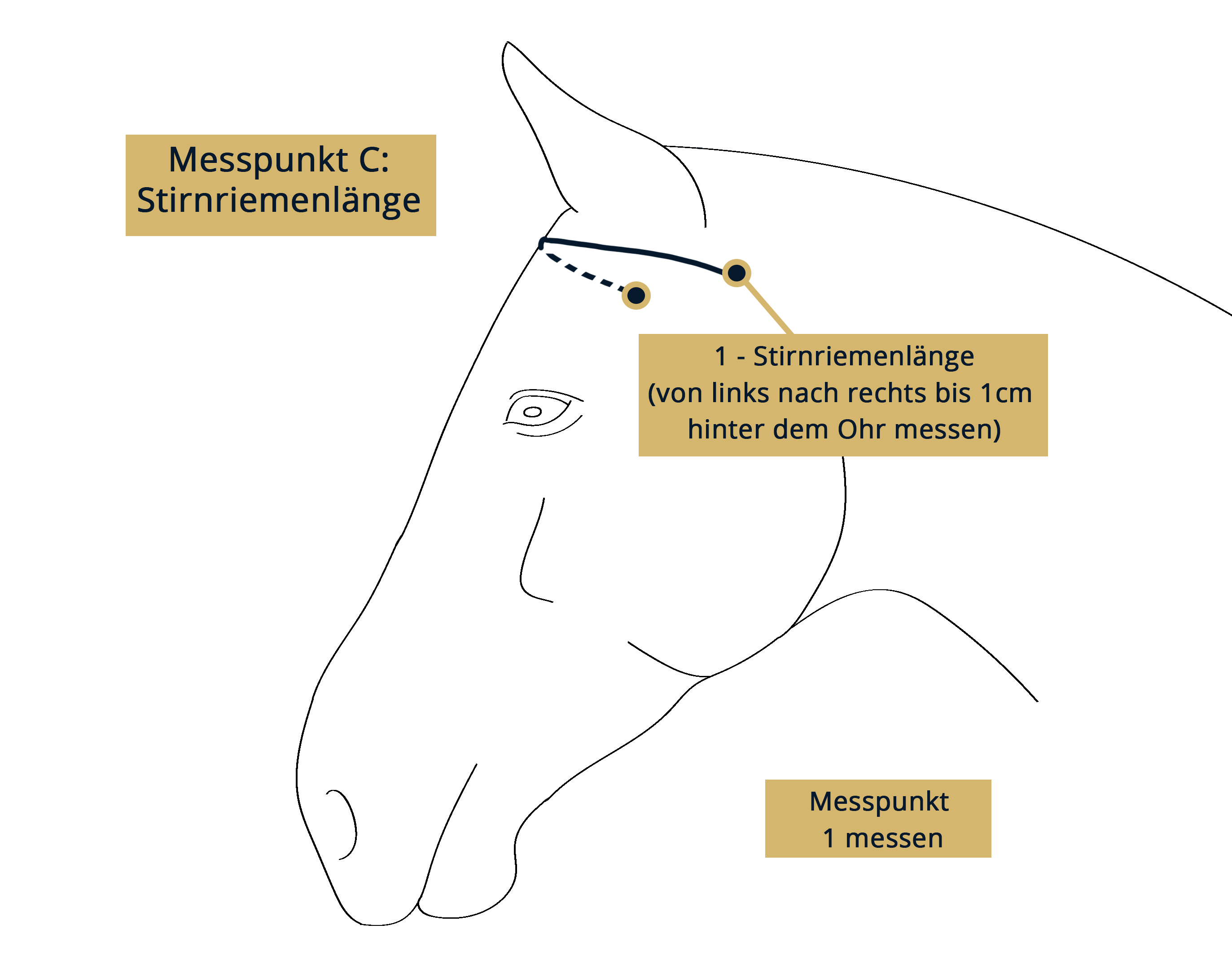 GF-Messpunkt-C-schwarz